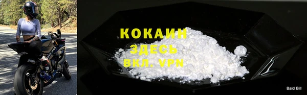 стаф Покачи