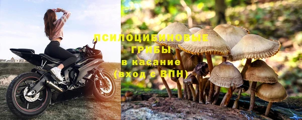 бошки Покров